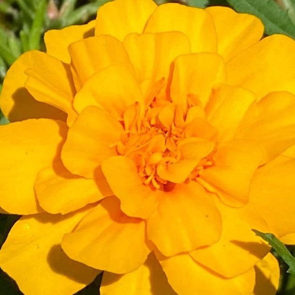 Meet your Posher, Lindsay B - Picture 10 of 15